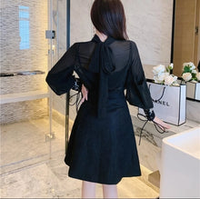 Load image into Gallery viewer, Sheer Pleasure 2pc Skirt Set
